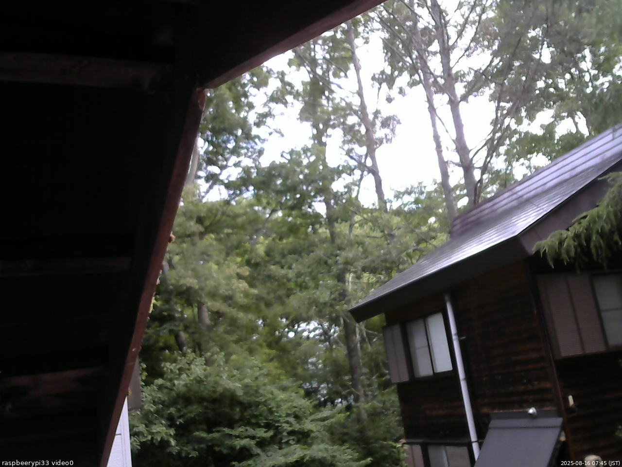 長野県菅平高原 ゆたか山荘 北側 2025/08/16 07:45