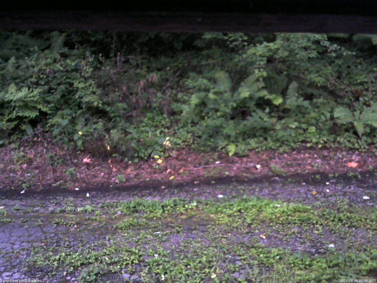 長野県菅平高原 ゆたか山荘 南側 2025/08/16 05:00