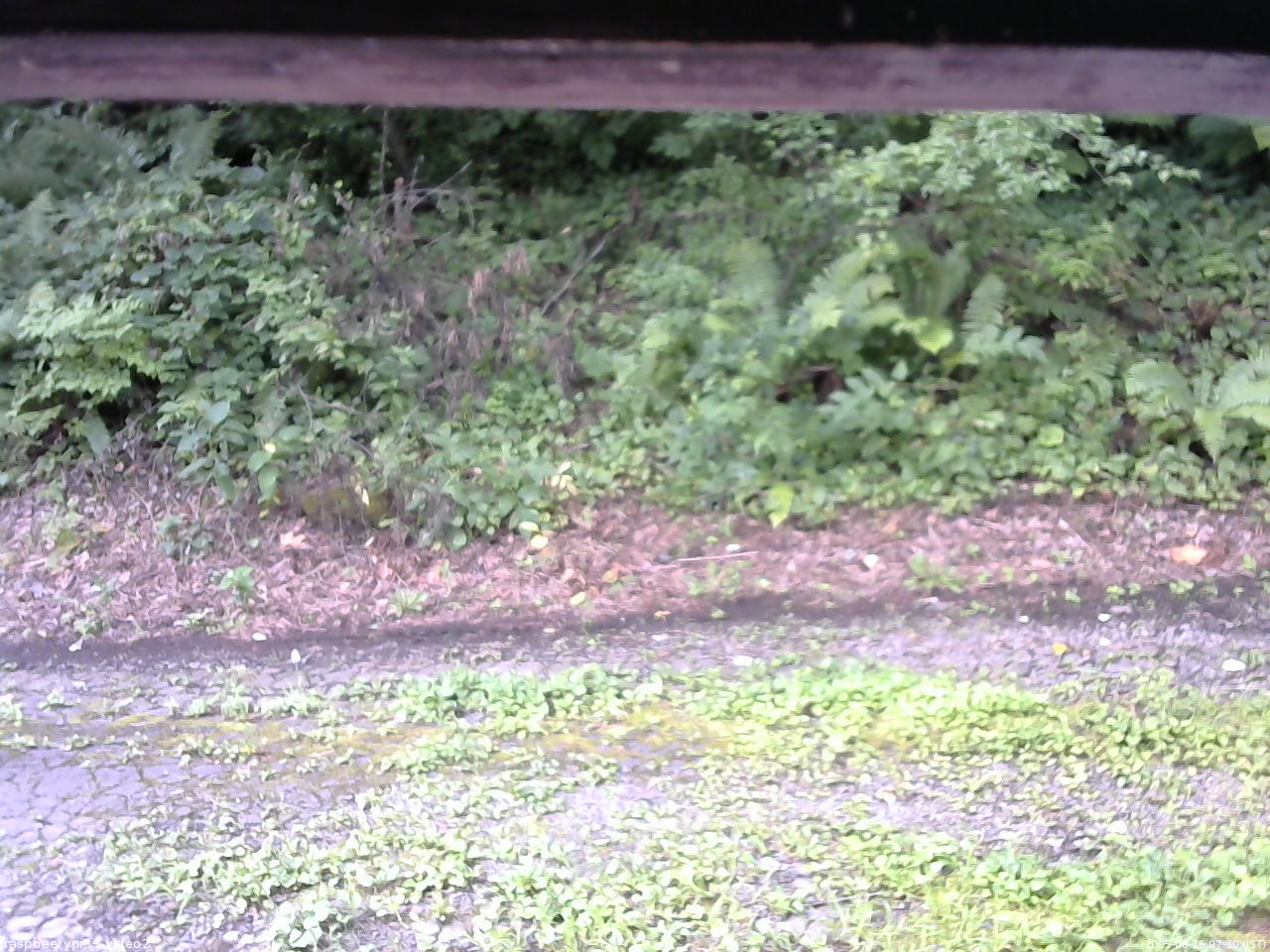 長野県菅平高原 ゆたか山荘 南側 2025/08/16 07:30