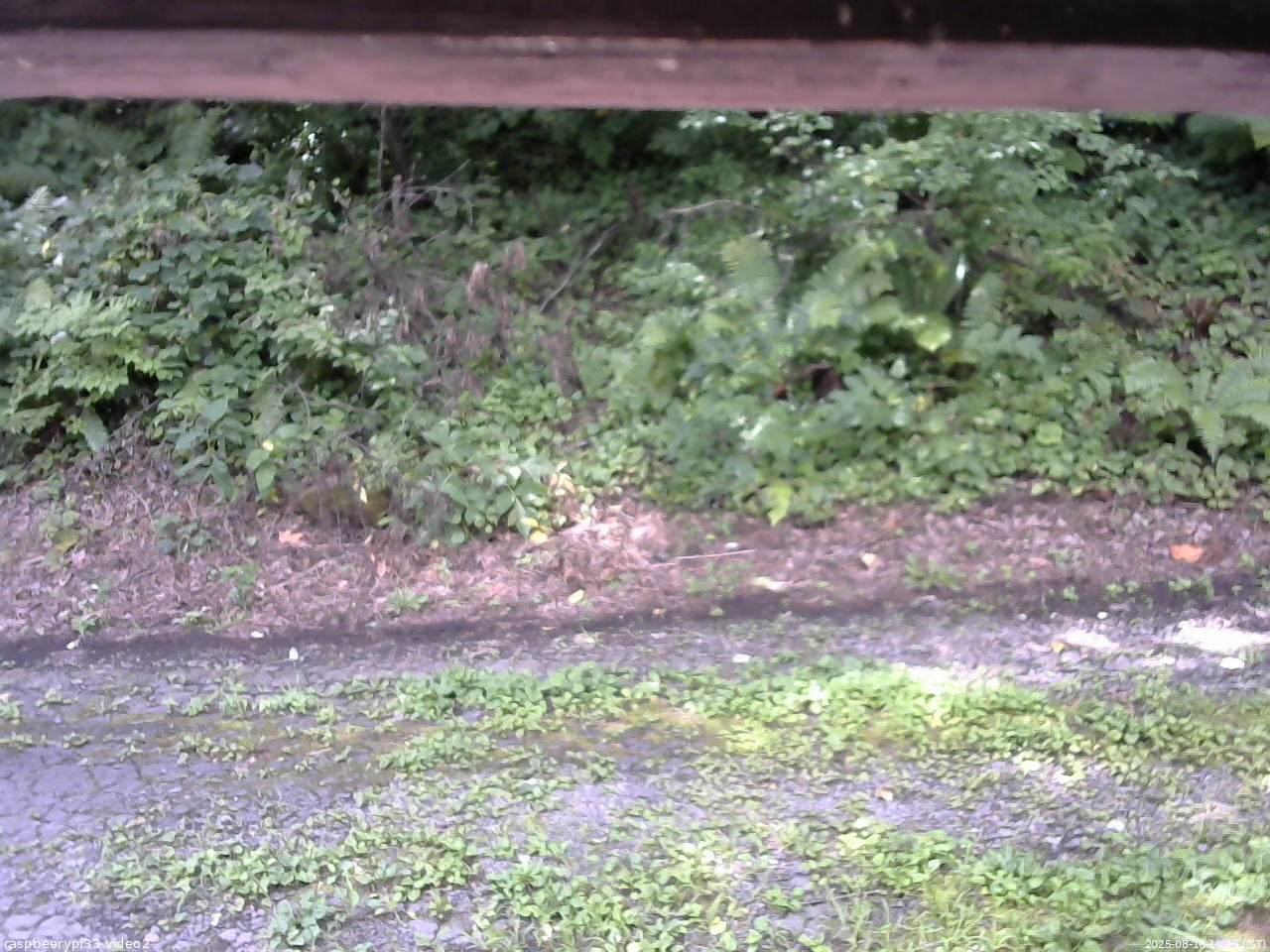 長野県菅平高原 ゆたか山荘 南側 2025/08/16 10:15