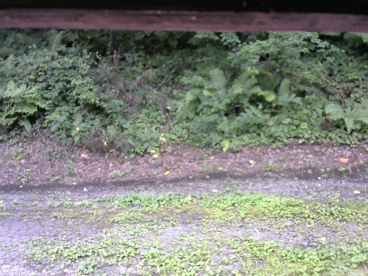 長野県菅平高原 ゆたか山荘 南側 2025/08/16 11:45