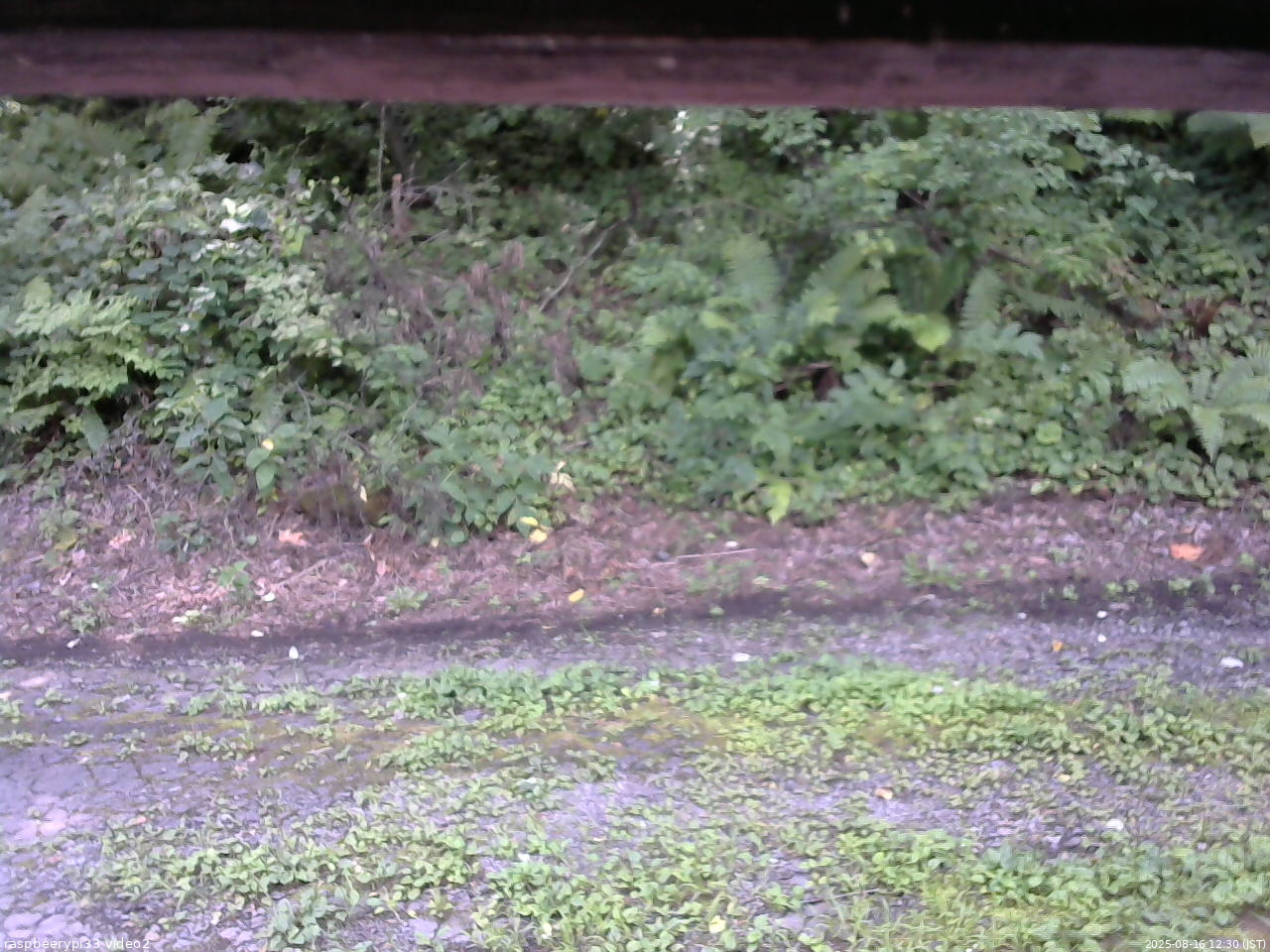 長野県菅平高原 ゆたか山荘 南側 2025/08/16 12:30