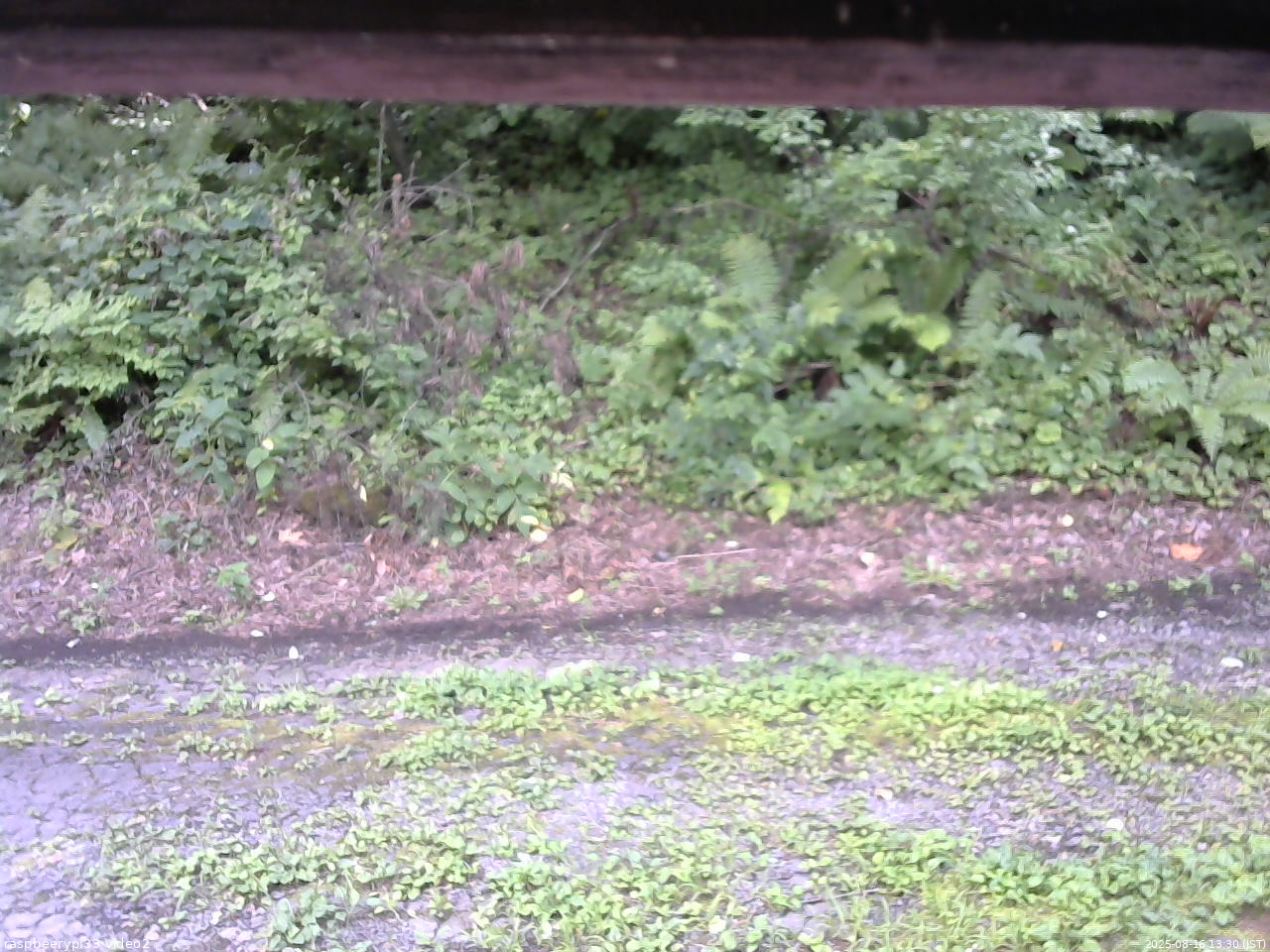 長野県菅平高原 ゆたか山荘 南側 2025/08/16 13:30