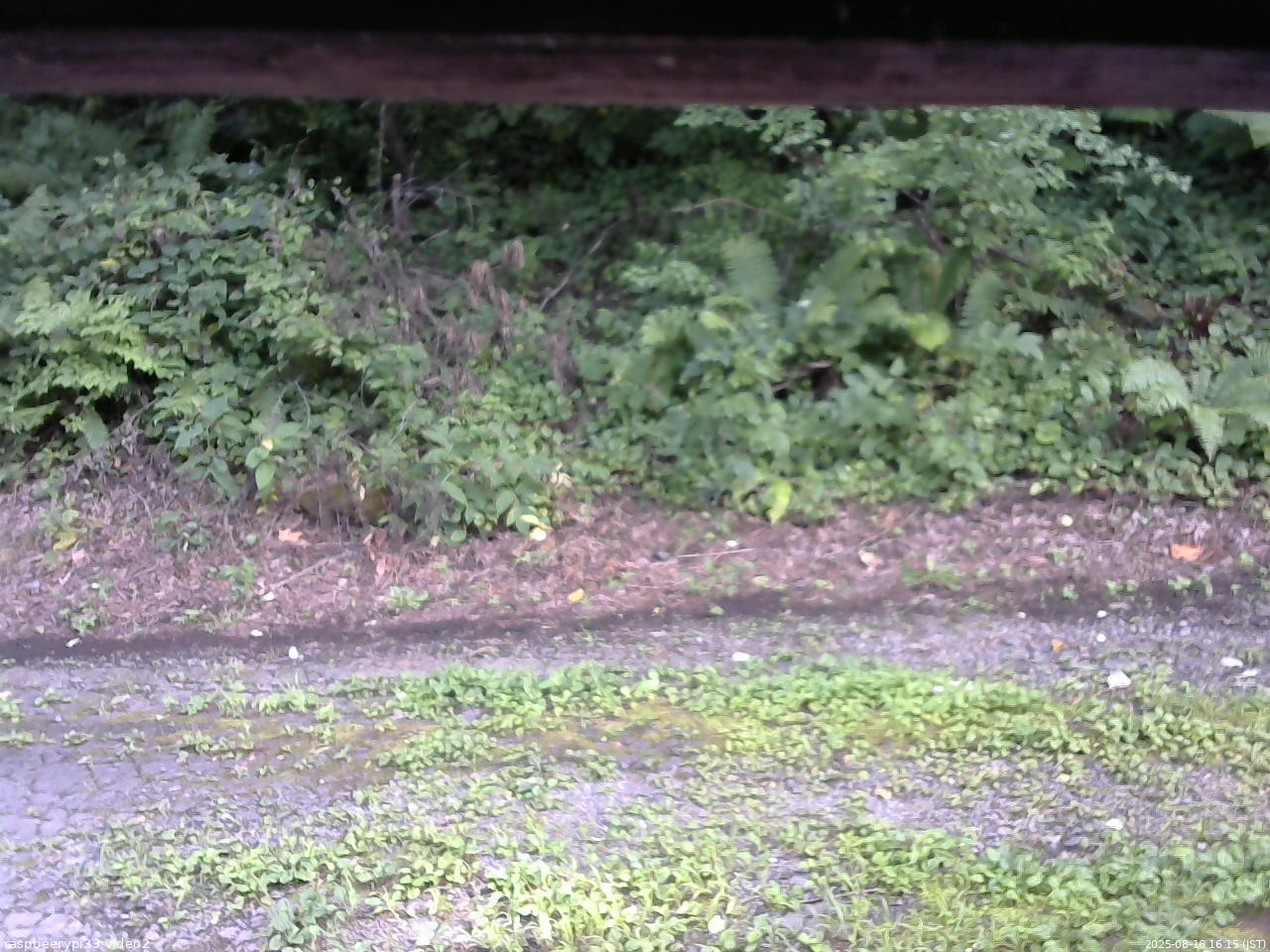 長野県菅平高原 ゆたか山荘 南側 2025/08/16 16:15