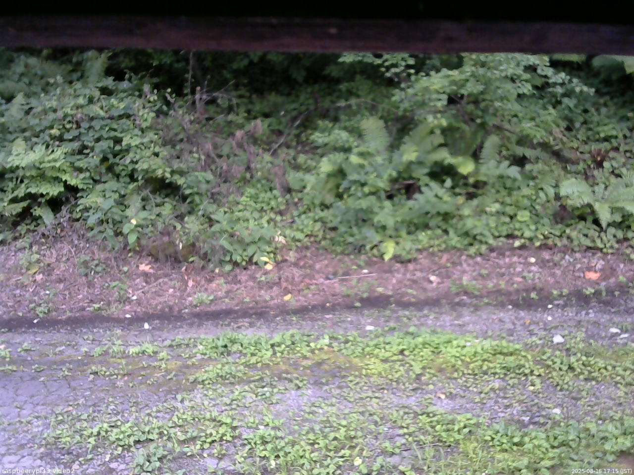 長野県菅平高原 ゆたか山荘 南側 2025/08/16 17:15