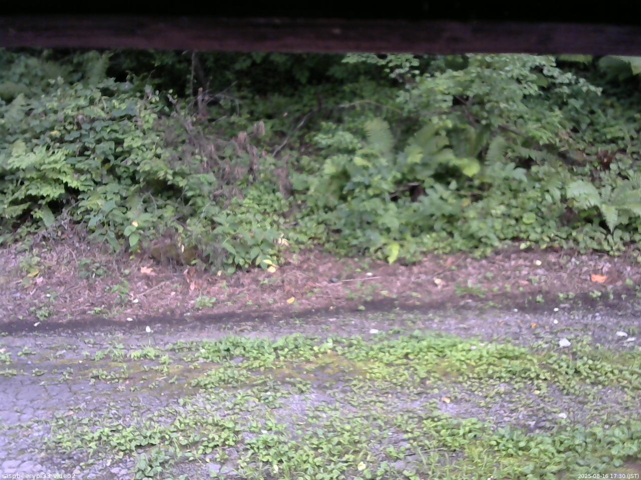 長野県菅平高原 ゆたか山荘 南側 2025/08/16 17:30