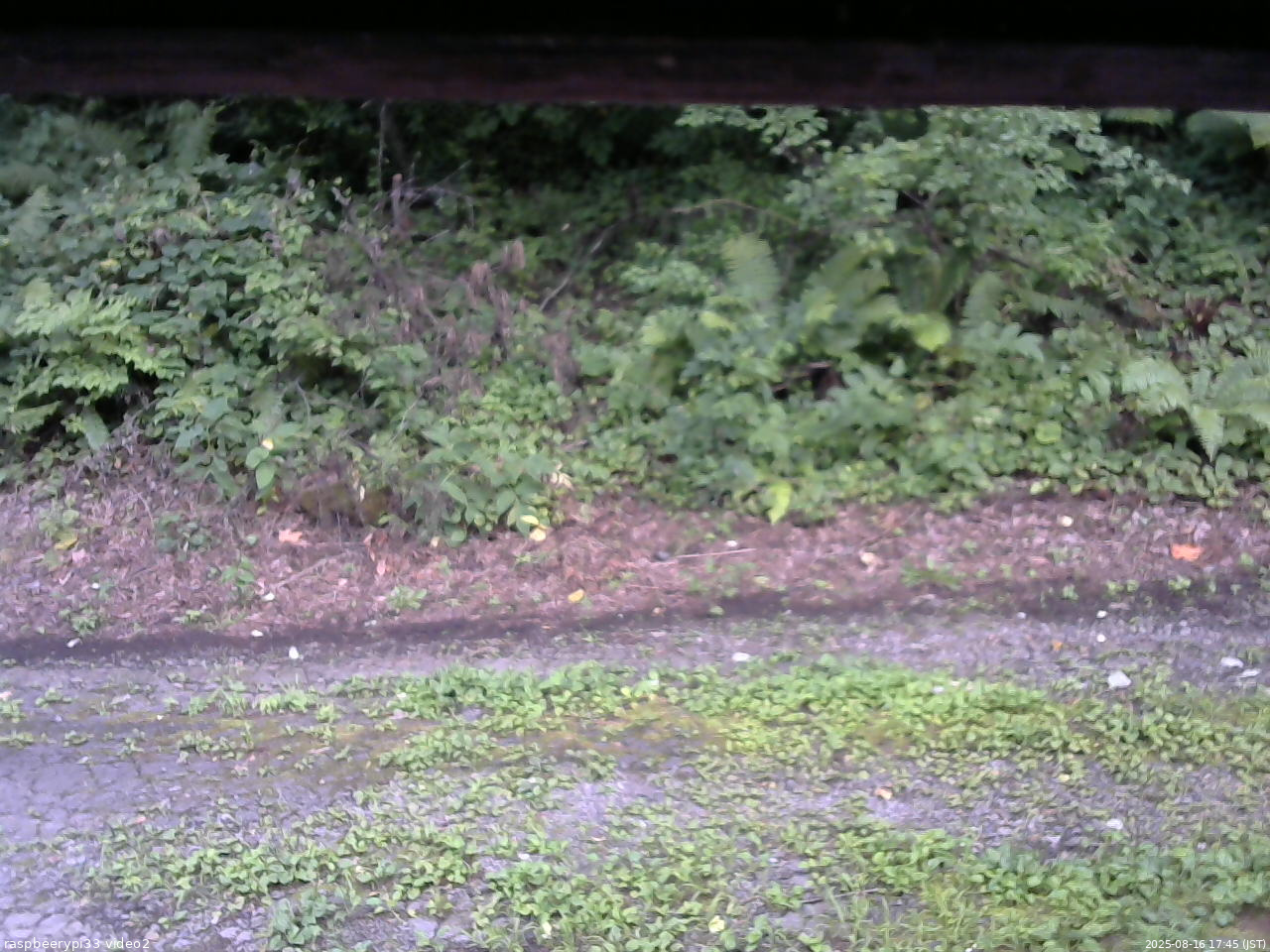 長野県菅平高原 ゆたか山荘 南側 2025/08/16 17:45