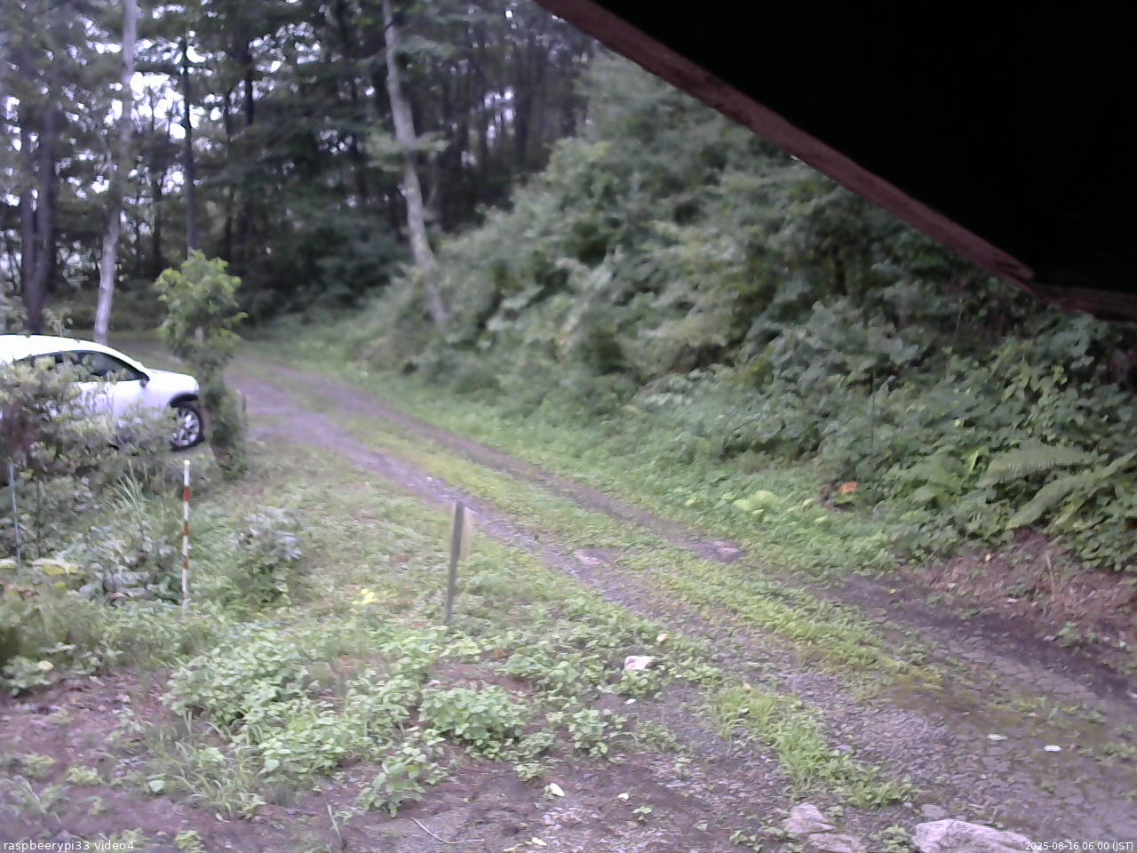 長野県菅平高原 ゆたか山荘 東側(坂下) 2025/08/16 06:00