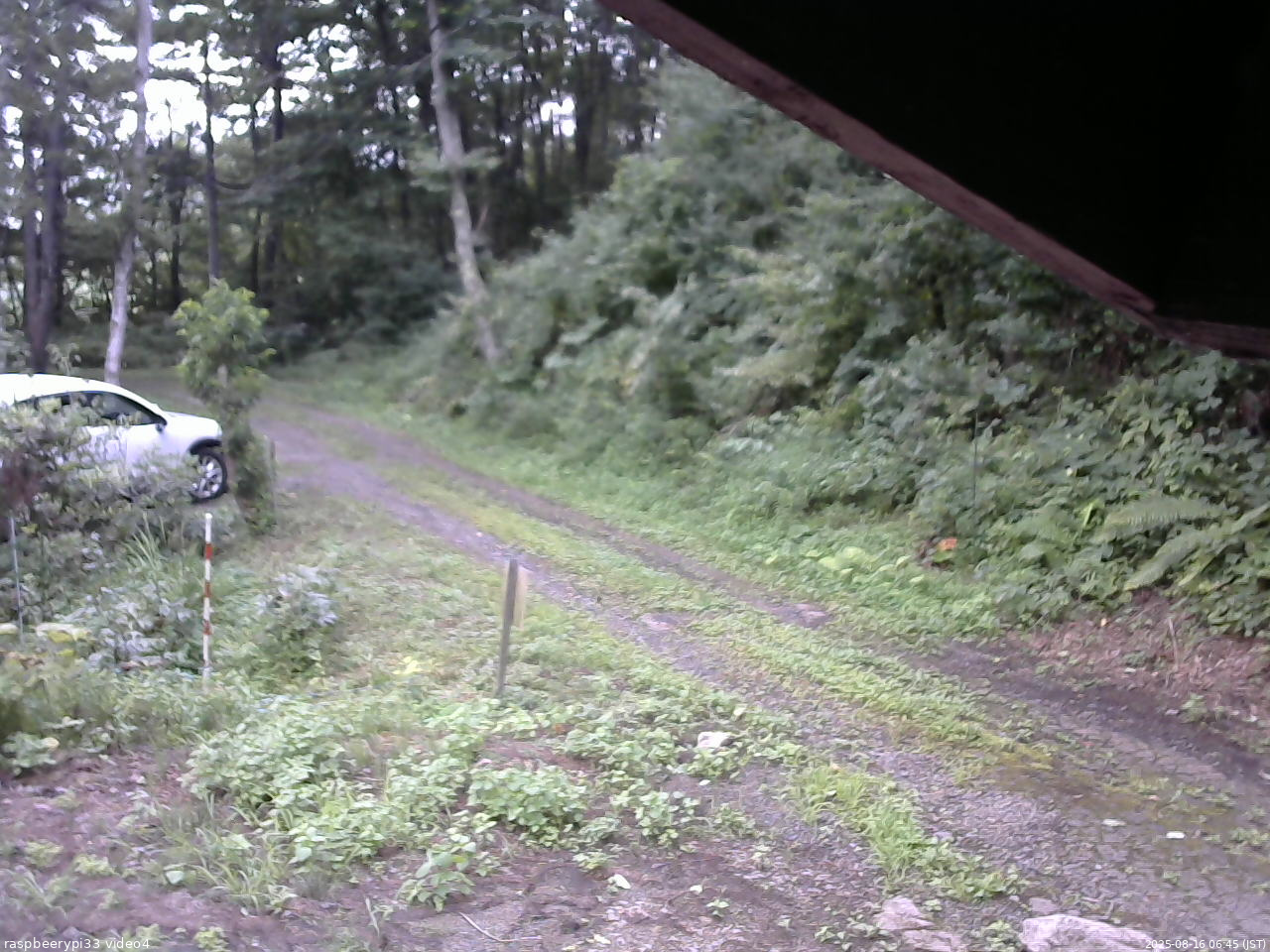 長野県菅平高原 ゆたか山荘 東側(坂下) 2025/08/16 06:45
