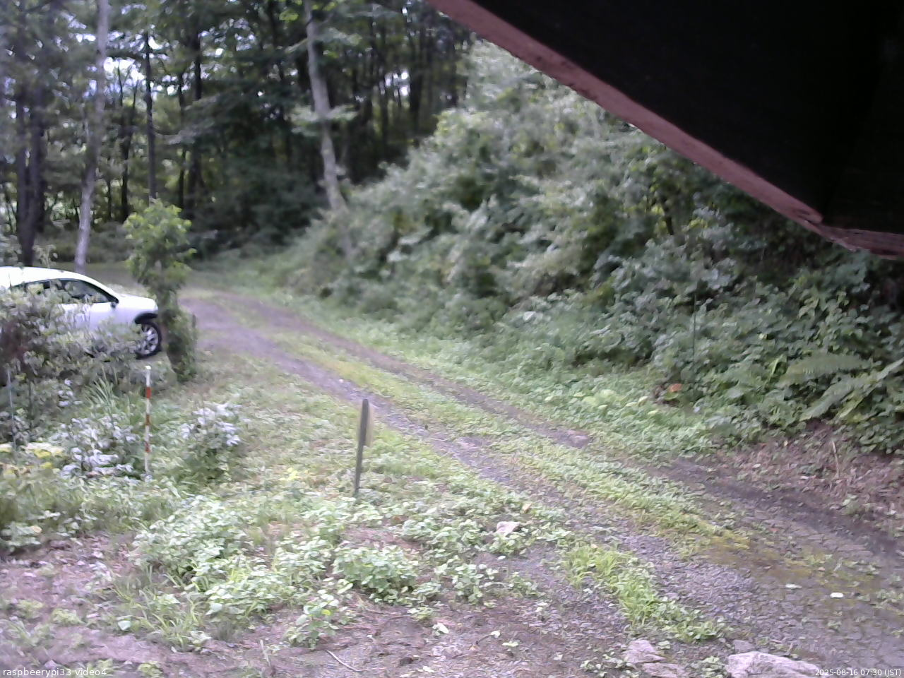 長野県菅平高原 ゆたか山荘 東側(坂下) 2025/08/16 07:30
