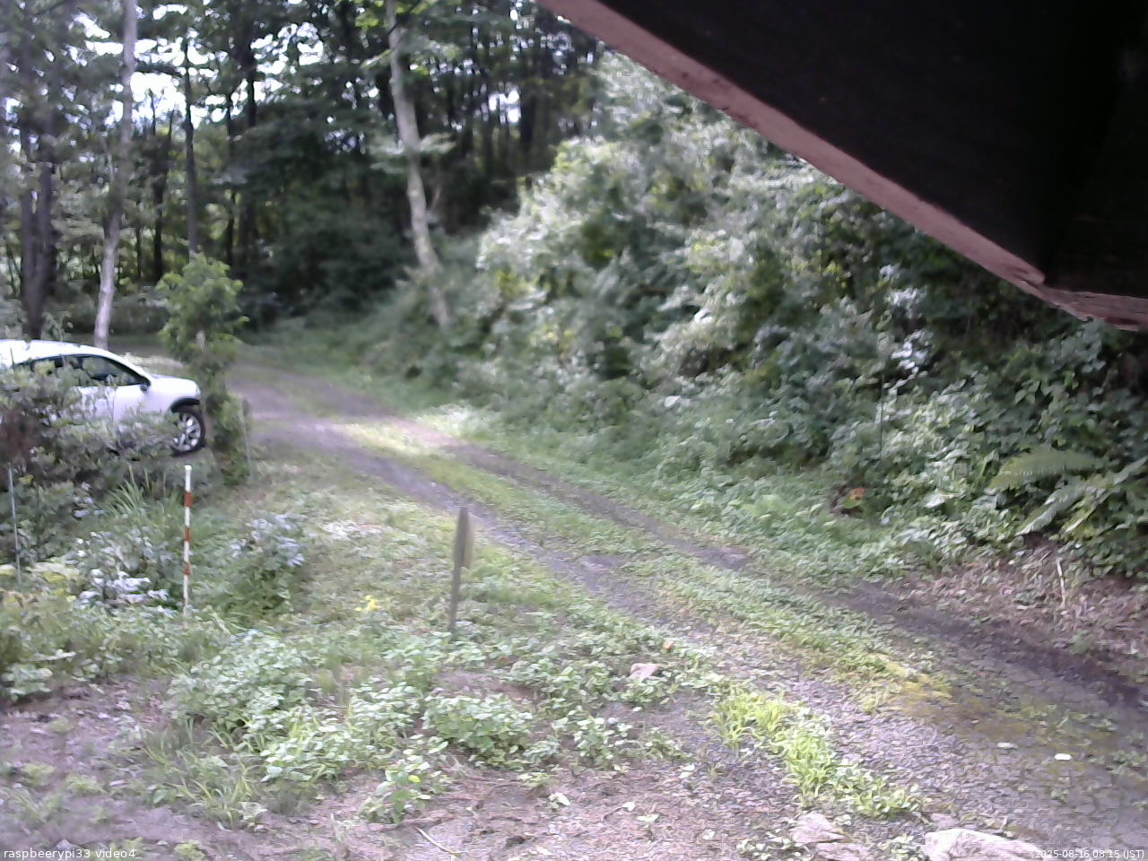 長野県菅平高原 ゆたか山荘 東側(坂下) 2025/08/16 08:15