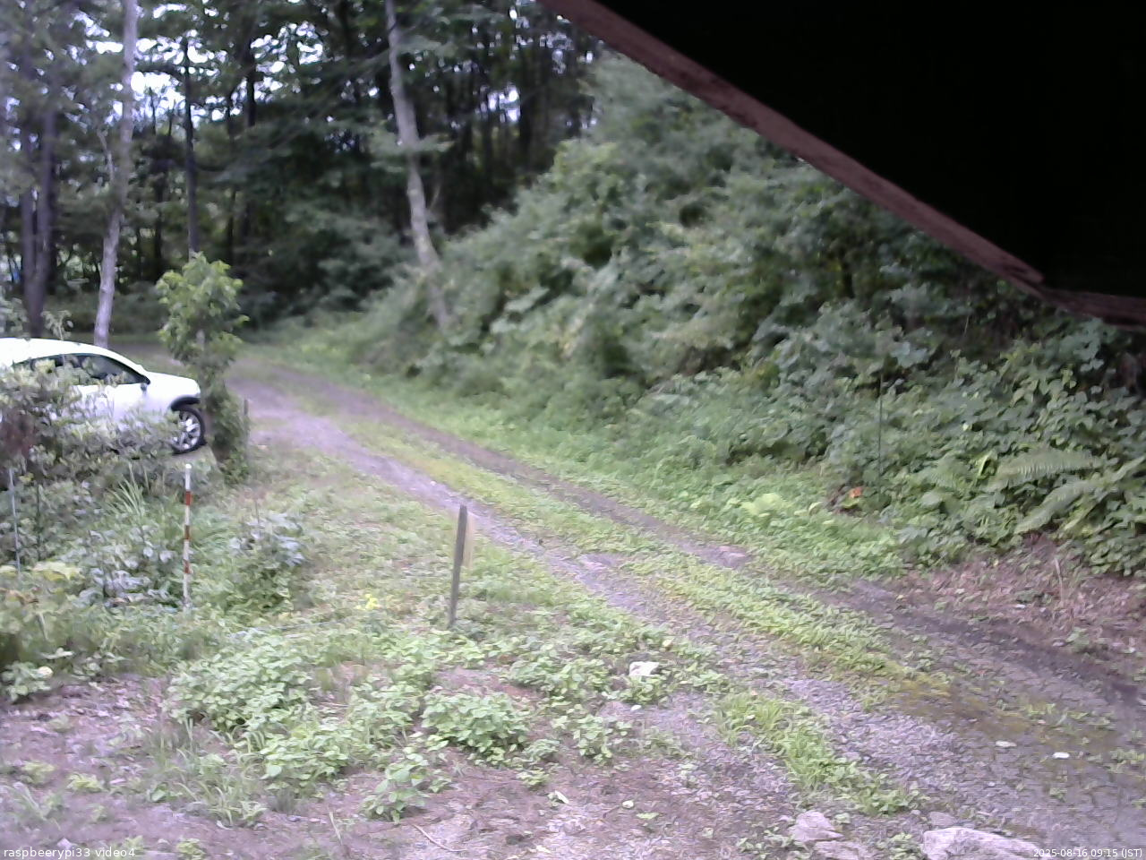 長野県菅平高原 ゆたか山荘 東側(坂下) 2025/08/16 09:15