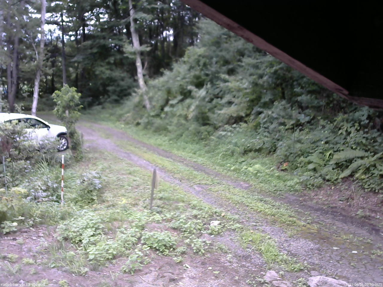 長野県菅平高原 ゆたか山荘 東側(坂下) 2025/08/16 09:30