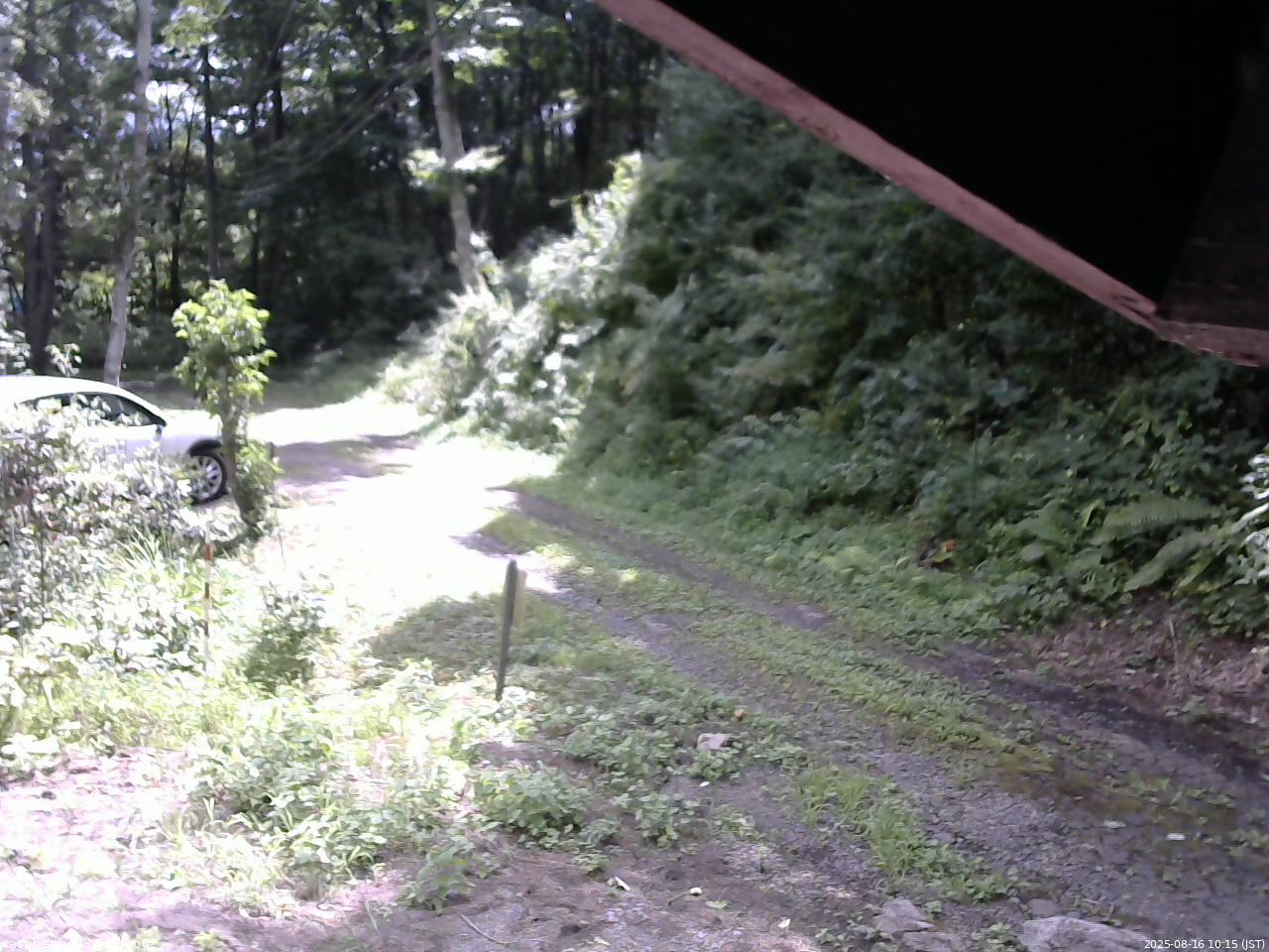 長野県菅平高原 ゆたか山荘 東側(坂下) 2025/08/16 10:15