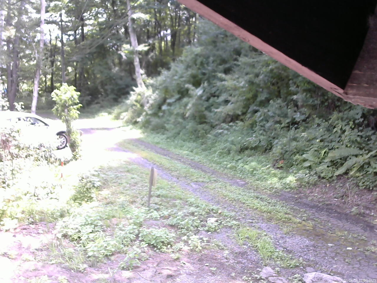 長野県菅平高原 ゆたか山荘 東側(坂下) 2025/08/16 11:00