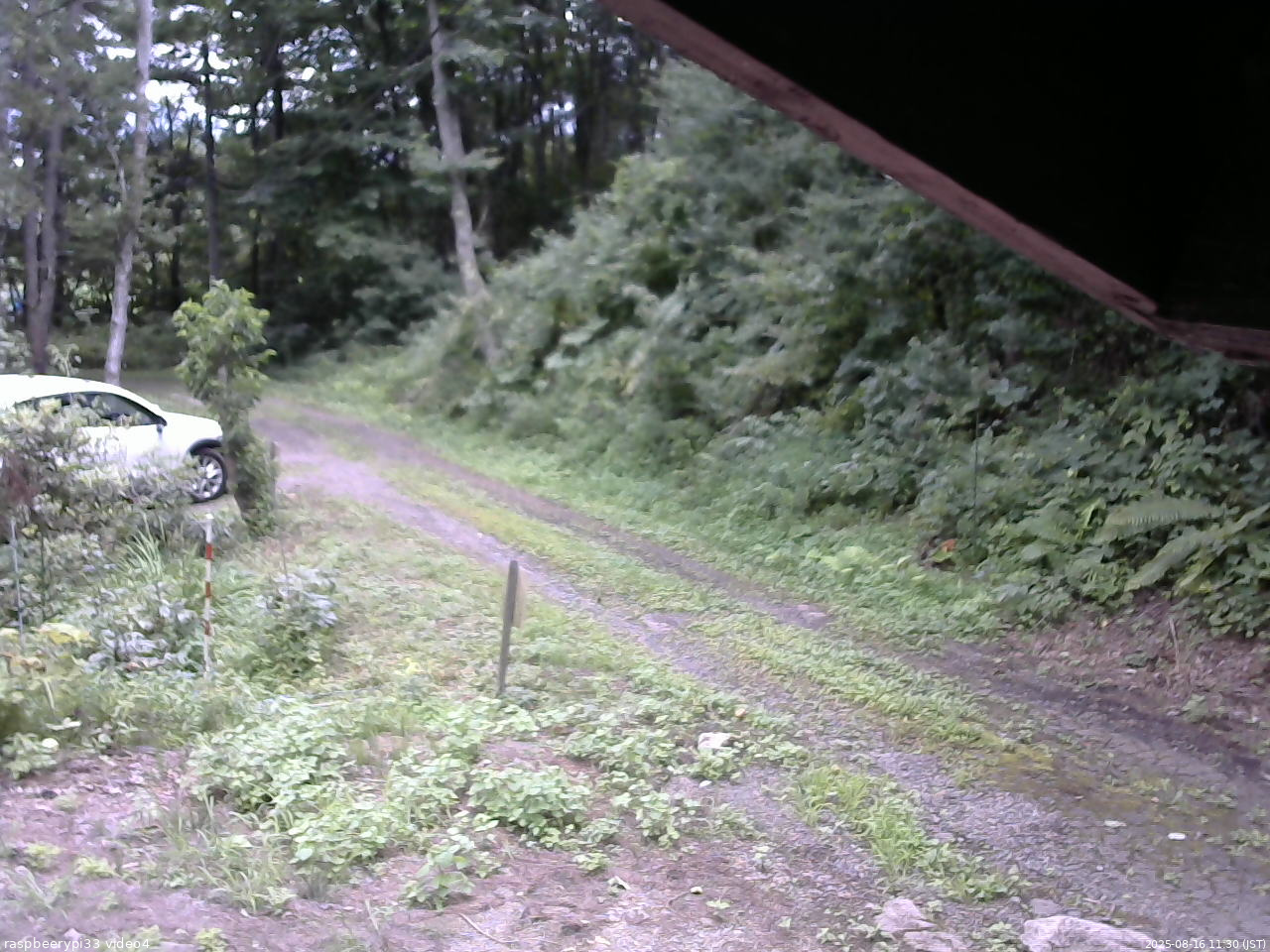 長野県菅平高原 ゆたか山荘 東側(坂下) 2025/08/16 11:30
