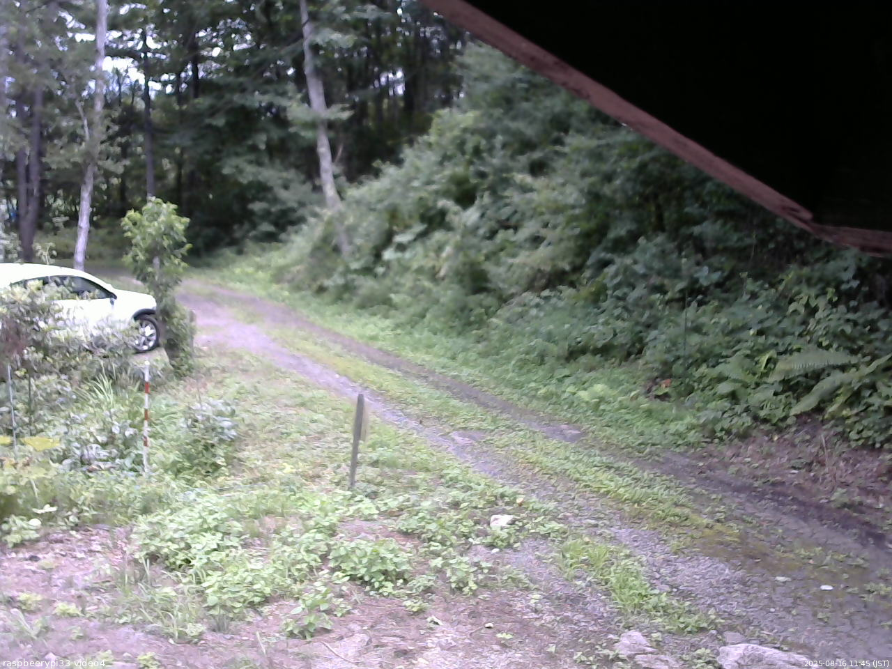 長野県菅平高原 ゆたか山荘 東側(坂下) 2025/08/16 11:45