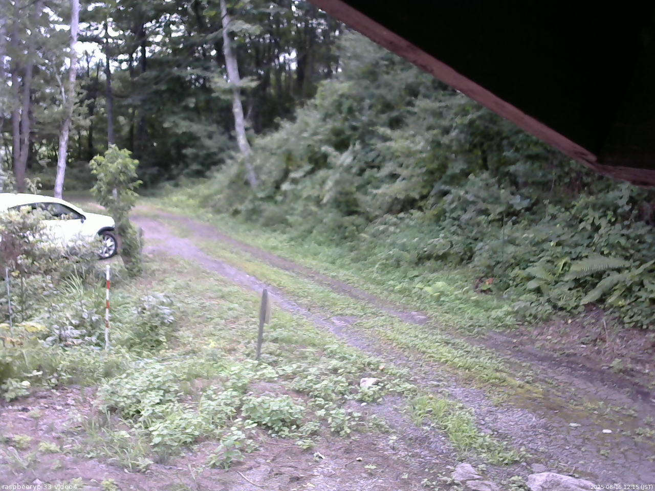 長野県菅平高原 ゆたか山荘 東側(坂下) 2025/08/16 12:15
