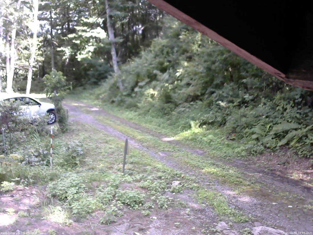 長野県菅平高原 ゆたか山荘 東側(坂下) 2025/08/16 14:15
