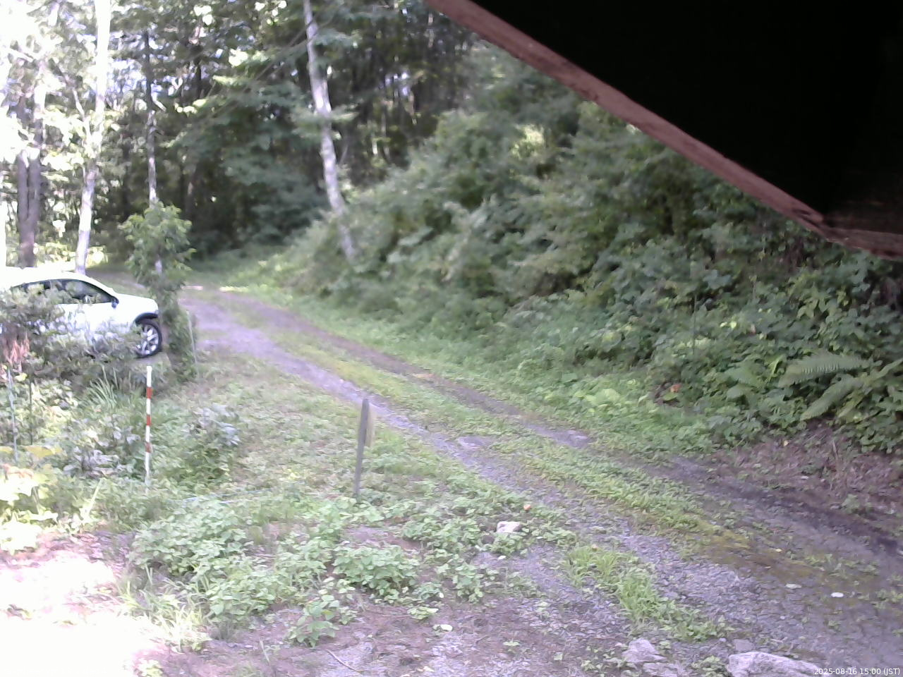 長野県菅平高原 ゆたか山荘 東側(坂下) 2025/08/16 15:00