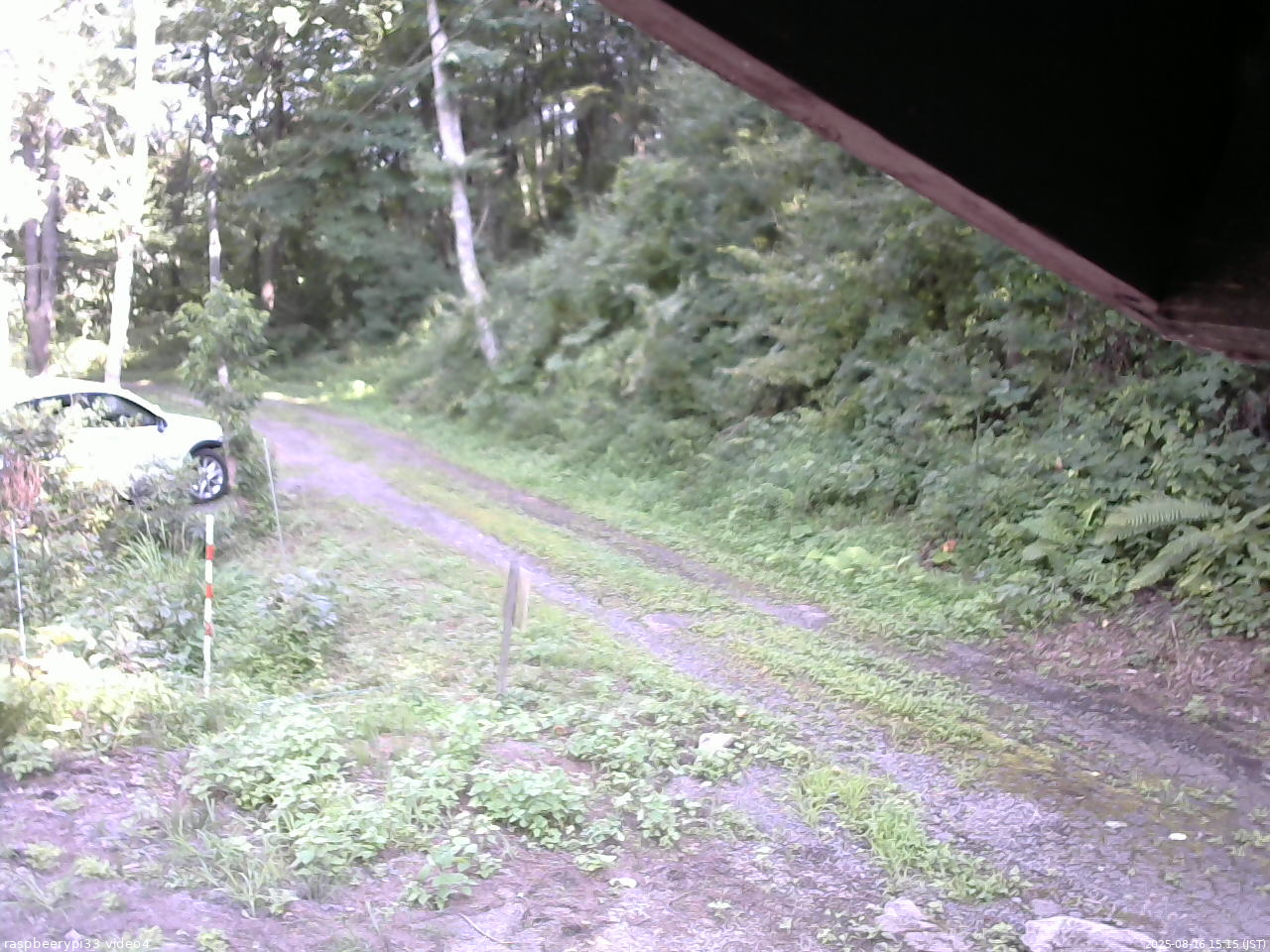 長野県菅平高原 ゆたか山荘 東側(坂下) 2025/08/16 15:15