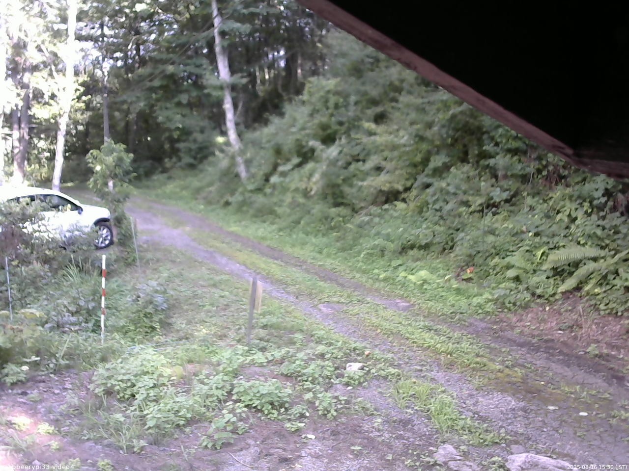 長野県菅平高原 ゆたか山荘 東側(坂下) 2025/08/16 15:30