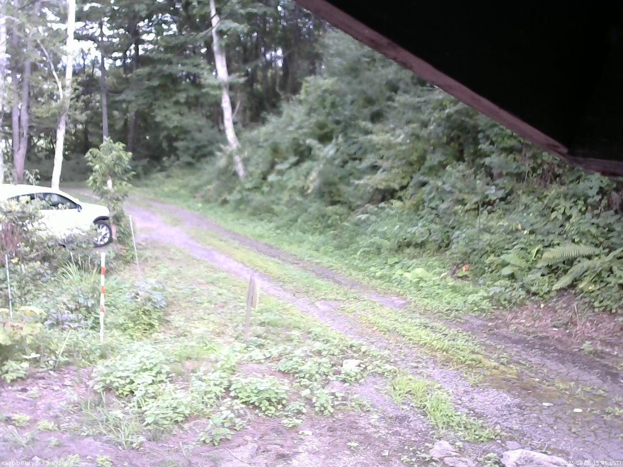 長野県菅平高原 ゆたか山荘 東側(坂下) 2025/08/16 15:45