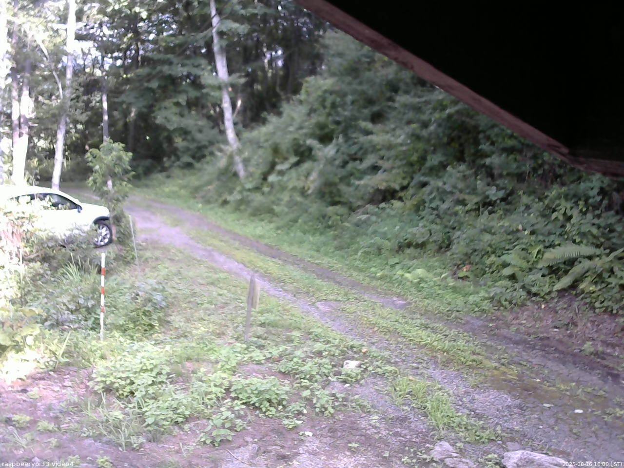 長野県菅平高原 ゆたか山荘 東側(坂下) 2025/08/16 16:00