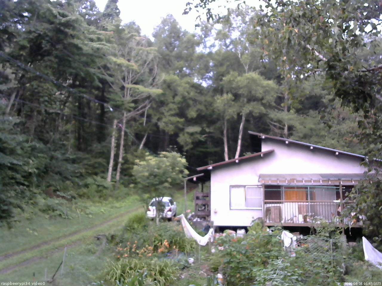 長野県菅平高原 ゆたか山荘 西側(坂上) 2025/08/16 05:45