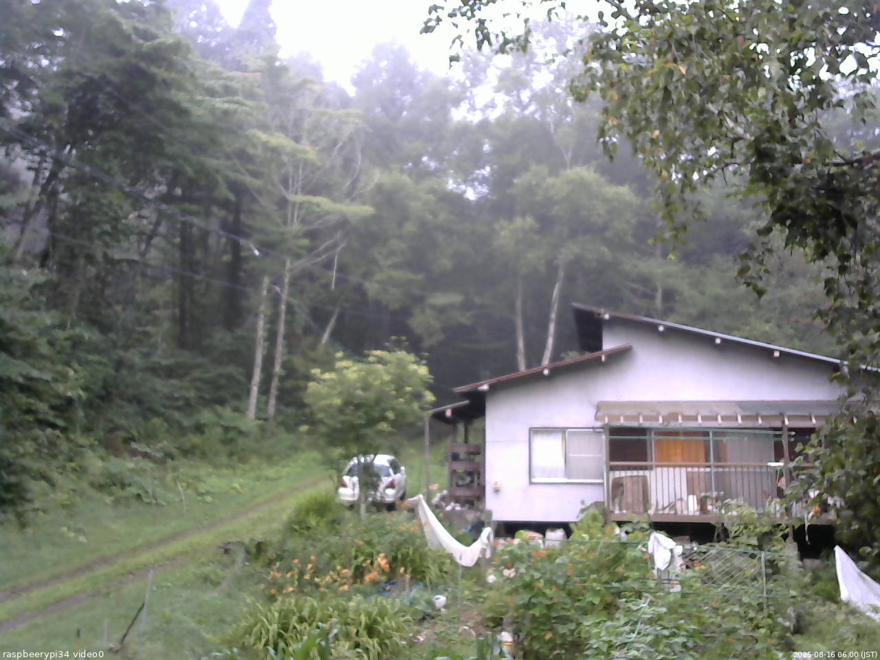 長野県菅平高原 ゆたか山荘 西側(坂上) 2025/08/16 06:00