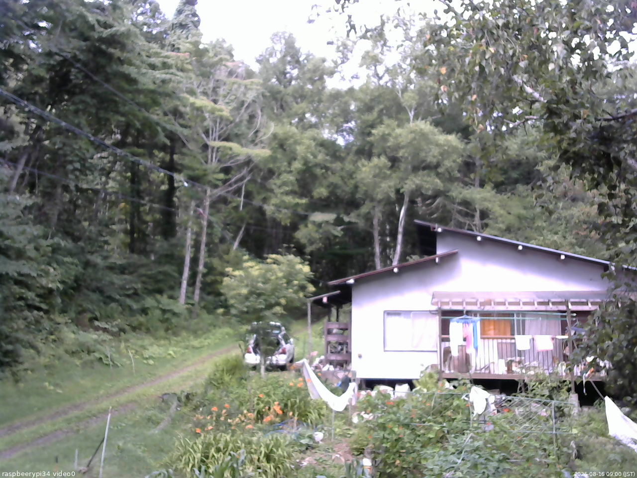 長野県菅平高原 ゆたか山荘 西側(坂上) 2025/08/16 09:00