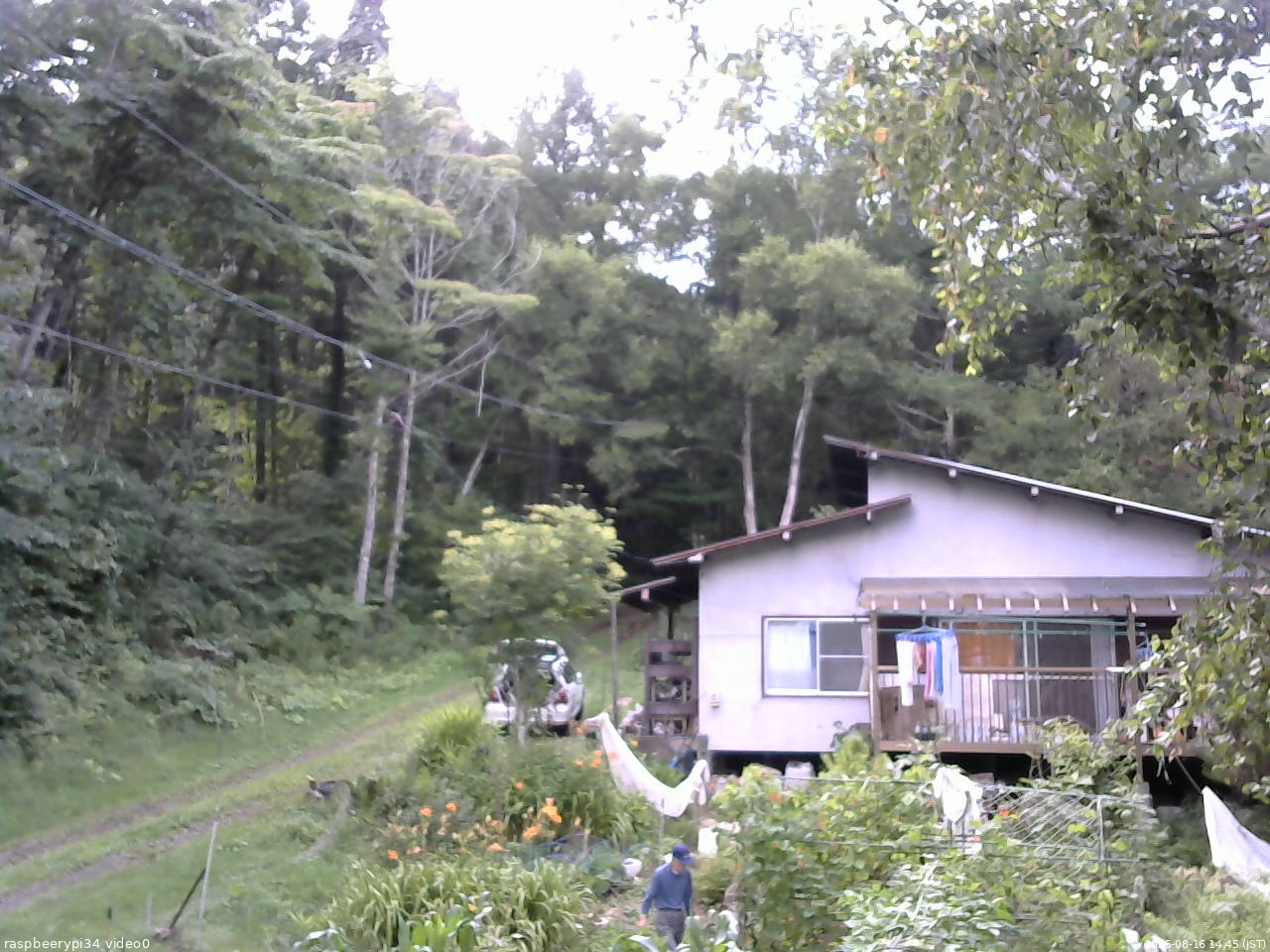 長野県菅平高原 ゆたか山荘 西側(坂上) 2025/08/16 14:45