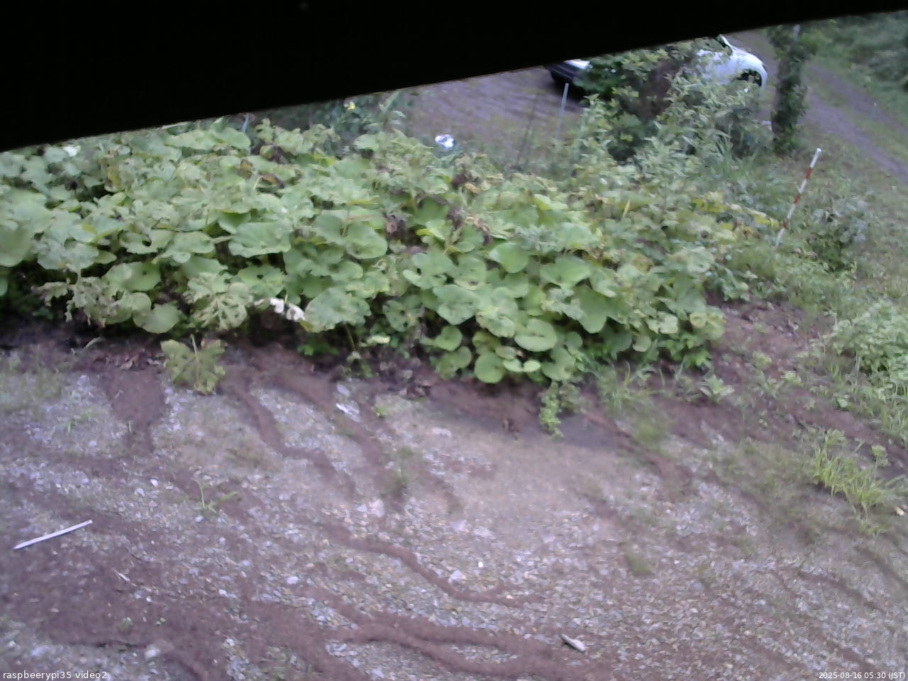 長野県菅平高原 ゆたか山荘 駐車場 2025/08/16 05:30