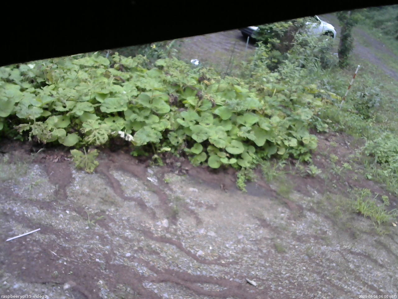 長野県菅平高原 ゆたか山荘 駐車場 2025/08/16 06:00