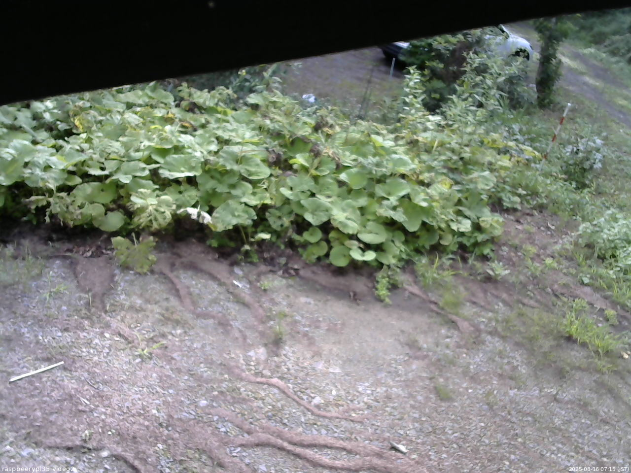 長野県菅平高原 ゆたか山荘 駐車場 2025/08/16 07:15