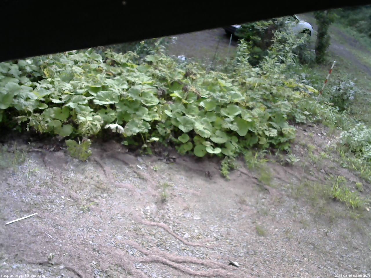 長野県菅平高原 ゆたか山荘 駐車場 2025/08/16 08:00