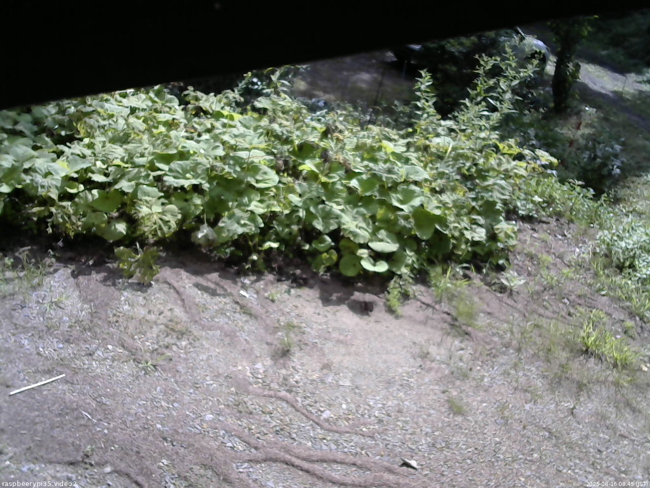 長野県菅平高原 ゆたか山荘 駐車場 2025/08/16 08:45