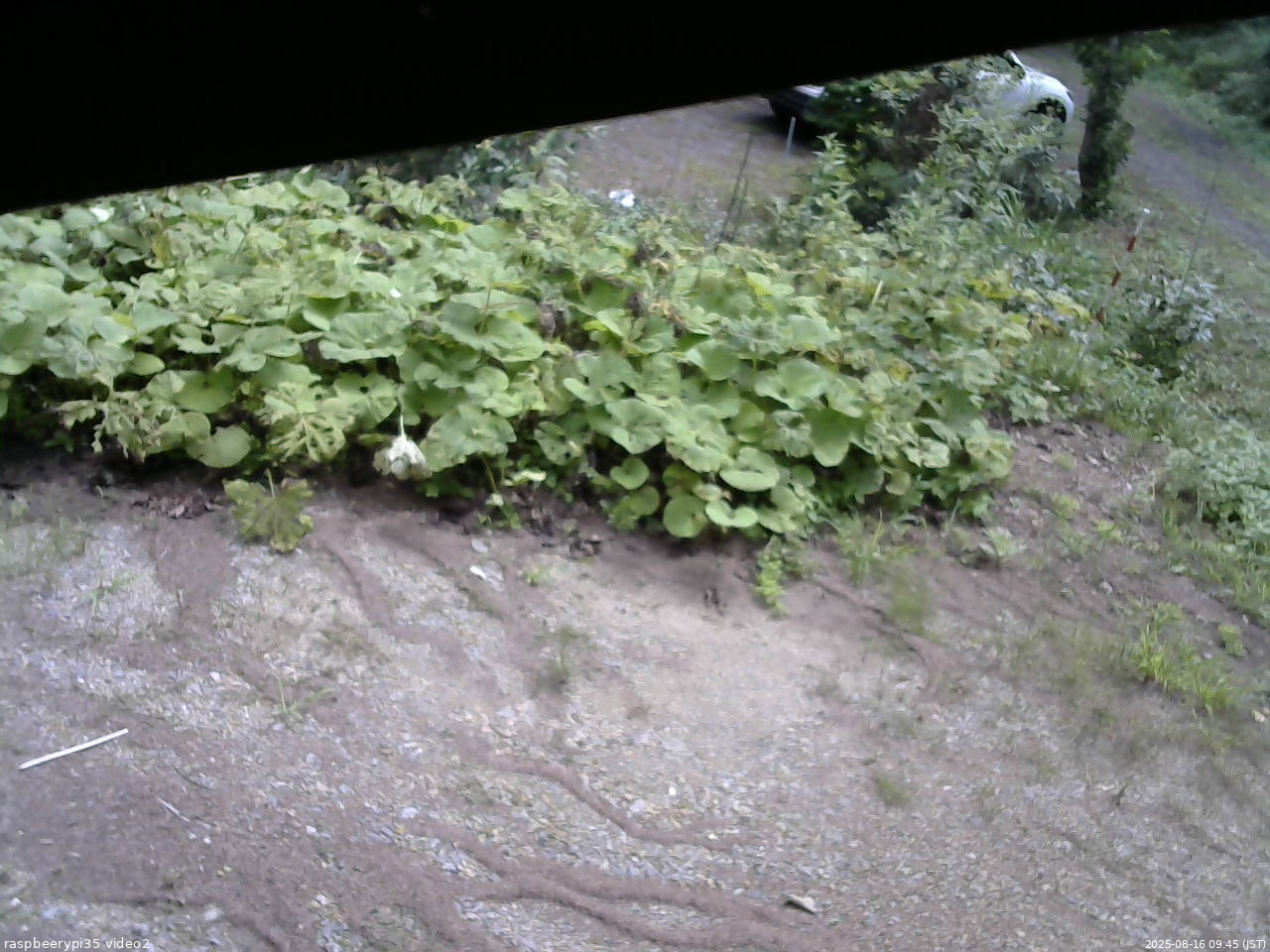 長野県菅平高原 ゆたか山荘 駐車場 2025/08/16 09:45