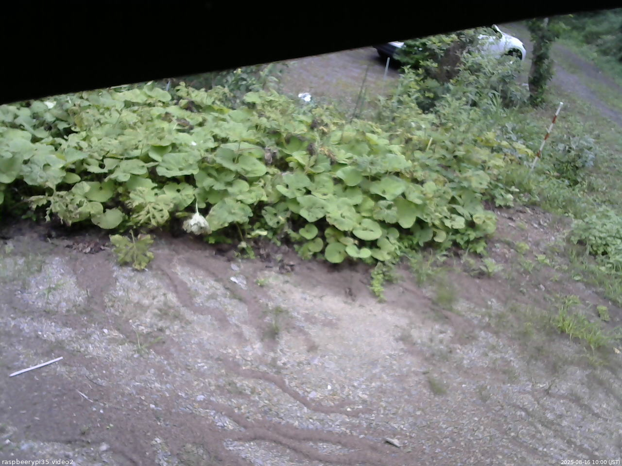 長野県菅平高原 ゆたか山荘 駐車場 2025/08/16 10:00