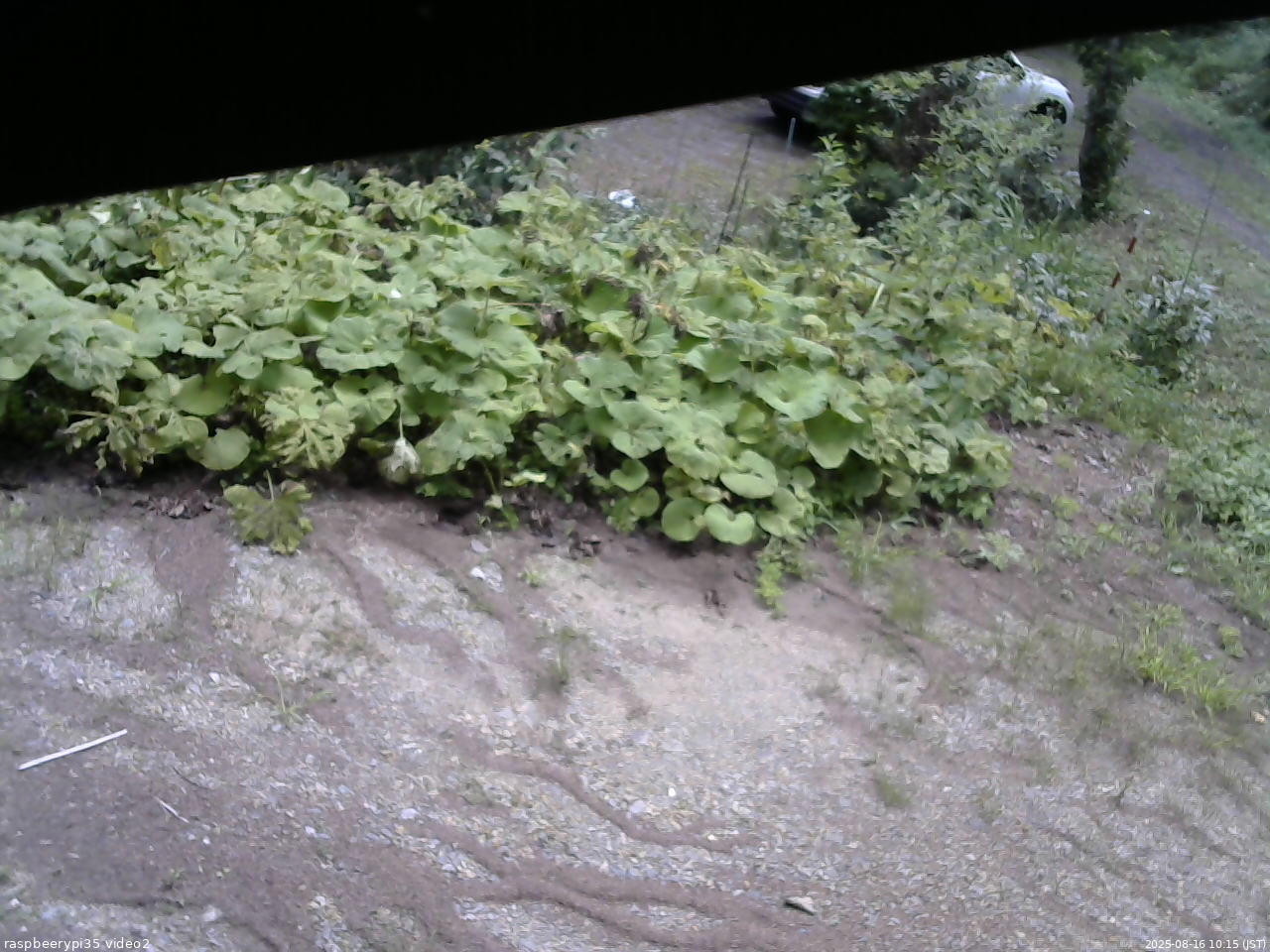 長野県菅平高原 ゆたか山荘 駐車場 2025/08/16 10:15