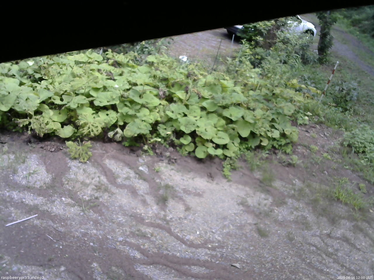 長野県菅平高原 ゆたか山荘 駐車場 2025/08/16 12:00