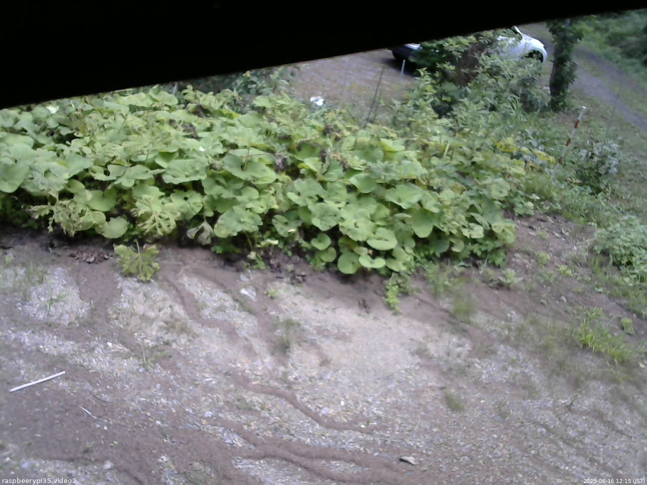 長野県菅平高原 ゆたか山荘 駐車場 2025/08/16 12:15
