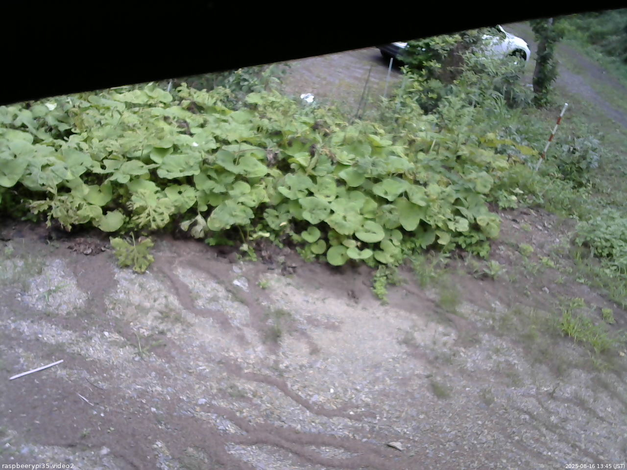 長野県菅平高原 ゆたか山荘 駐車場 2025/08/16 13:45