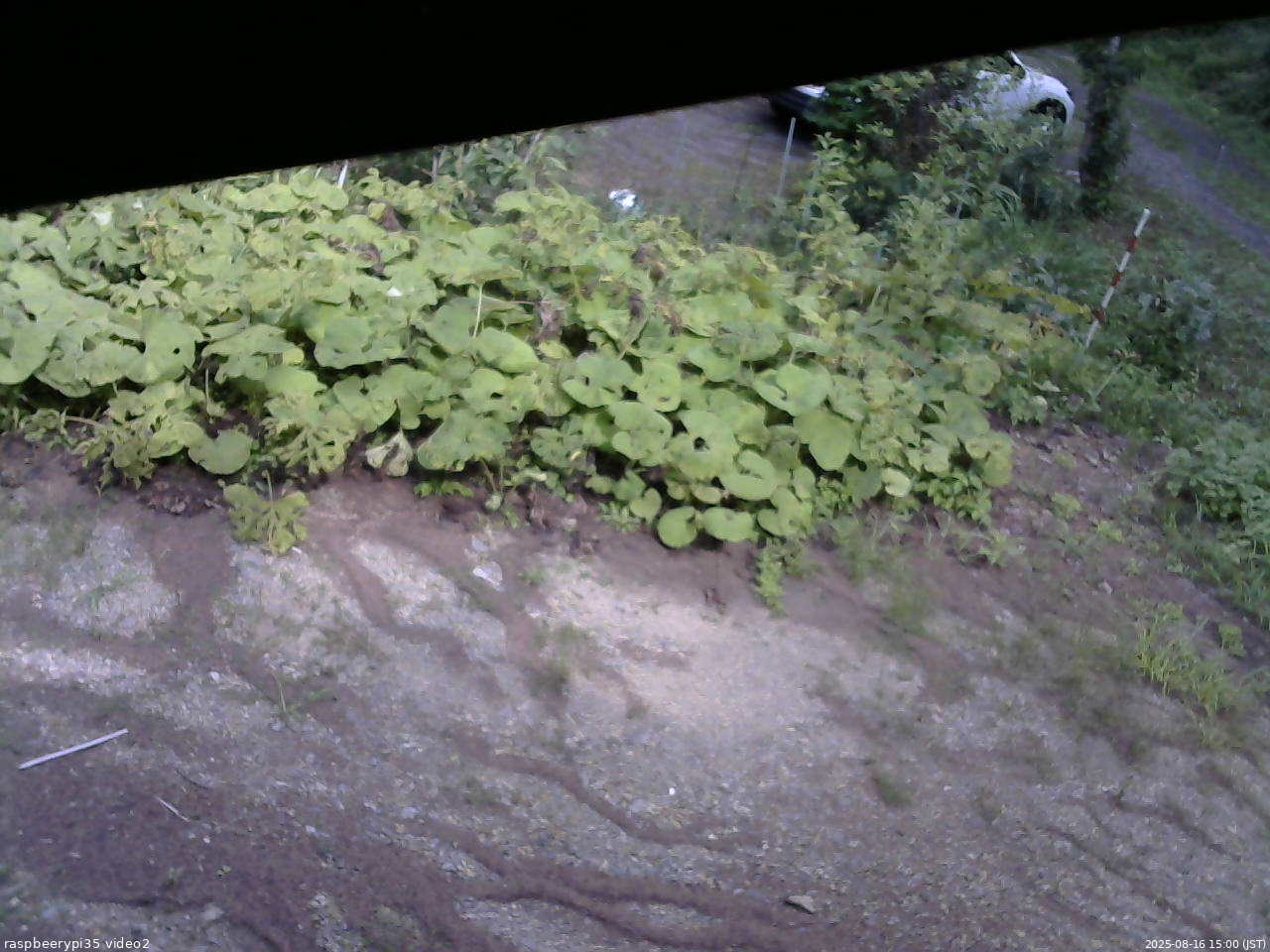 長野県菅平高原 ゆたか山荘 駐車場 2025/08/16 15:00