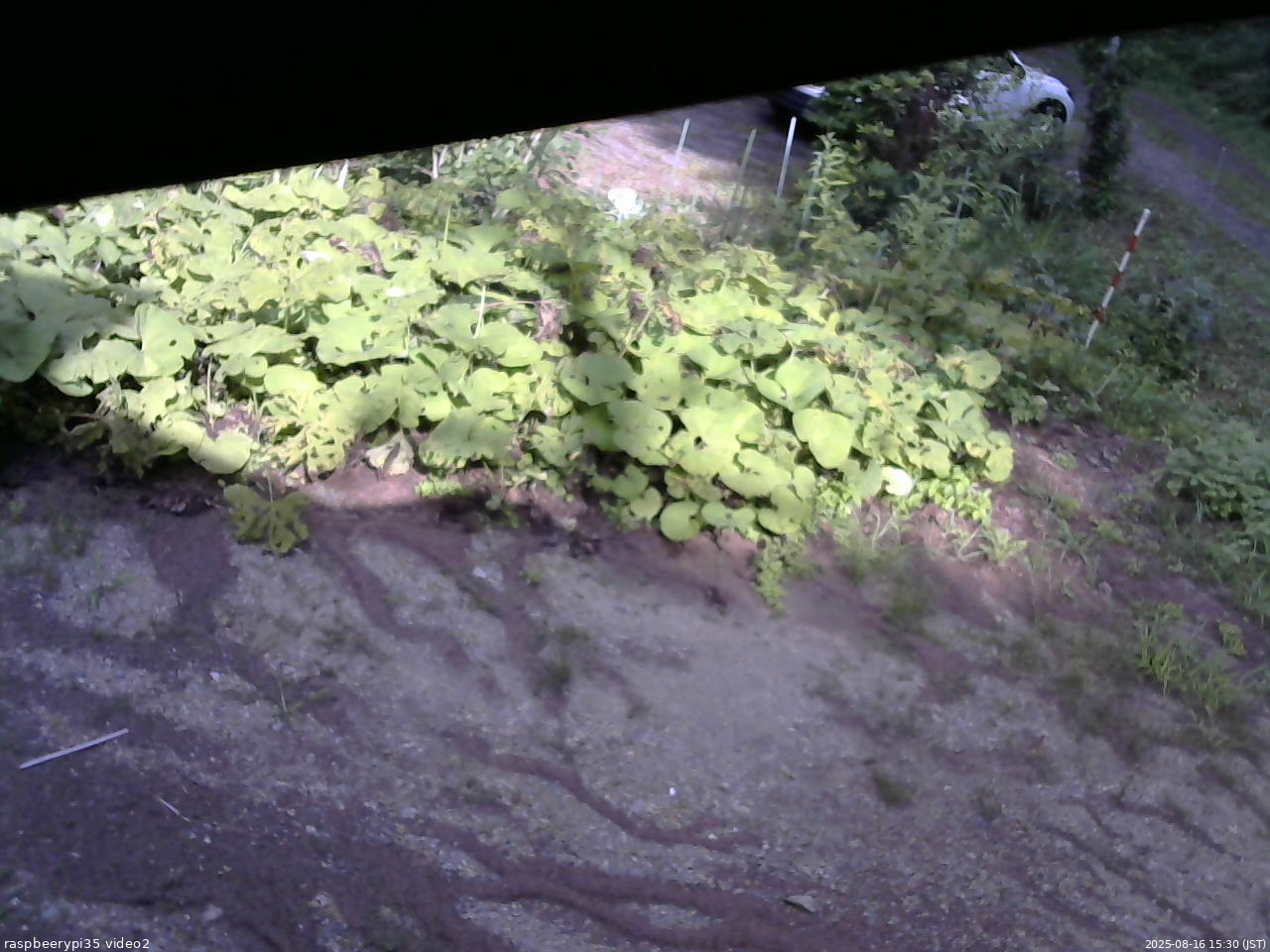 長野県菅平高原 ゆたか山荘 駐車場 2025/08/16 15:30