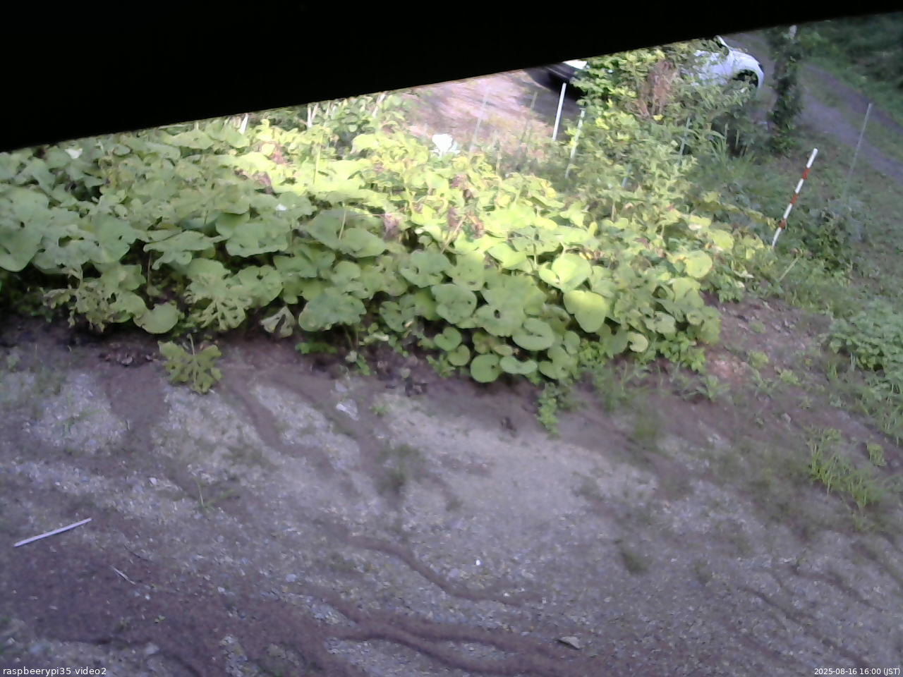 長野県菅平高原 ゆたか山荘 駐車場 2025/08/16 16:00
