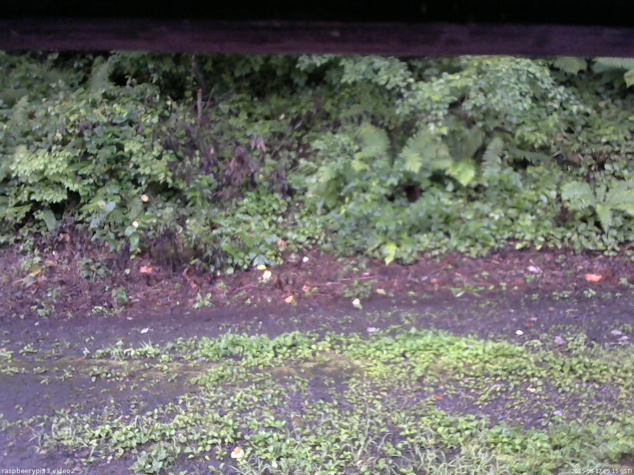 長野県菅平高原 ゆたか山荘 南側 2025/08/17 05:15