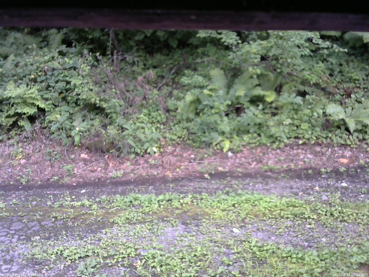 長野県菅平高原 ゆたか山荘 南側 2025/08/17 17:00