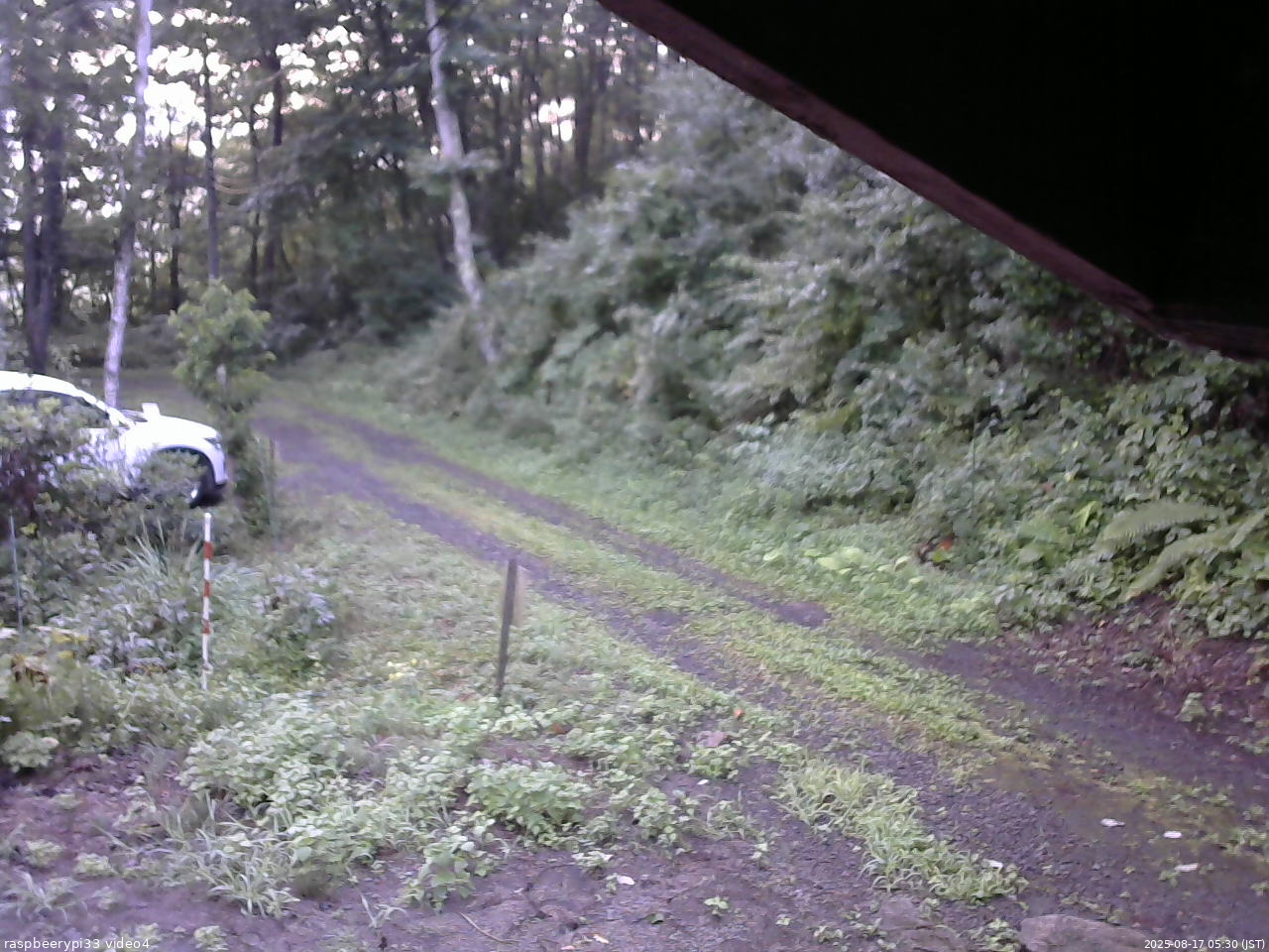長野県菅平高原 ゆたか山荘 東側(坂下) 2025/08/17 05:30