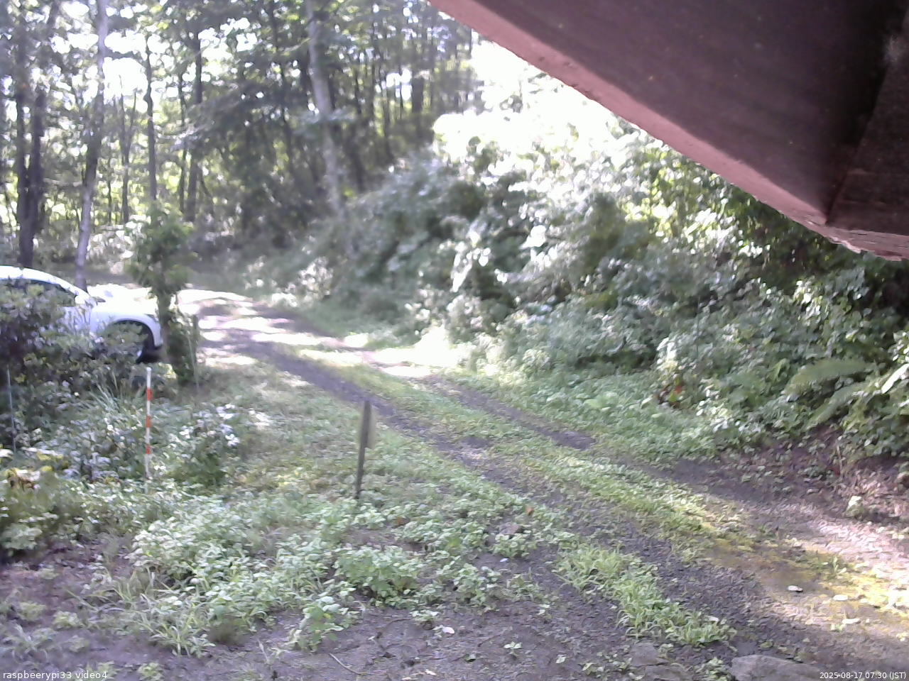 長野県菅平高原 ゆたか山荘 東側(坂下) 2025/08/17 07:30